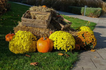 Autumn outdoor decoration with pumpkins, bright yellow flowers, hay bales, and wooden crates arranged on green grass.