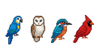 Pixel art illustration of four distinct bird species perched side-by-side against a white background.