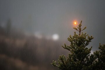 stunning captures ultrabright star atop evergreen tree set against gloomy gray sky