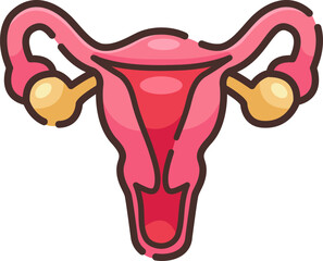Female reproductive system illustration showing uterus, fallopian tubes, and ovaries, representing gynecology, fertility, and anatomy education