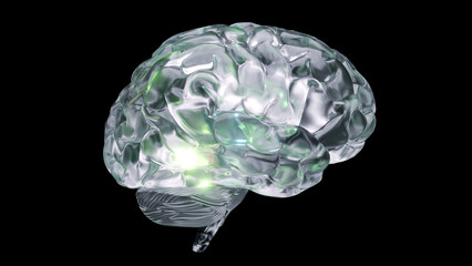 3d rendered image of a translucent brain with emissive colors coming from areas within.