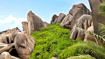 Luxury resort photo of Seychelles tropical paradise islands in Indian Ocean with trees, stones beach.
Beautiful photography from tourist trip.  