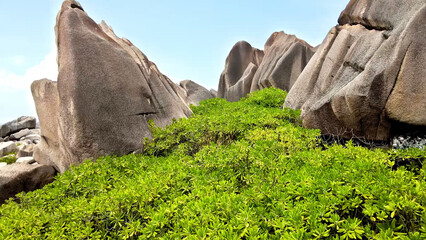 Luxury resort photo of Seychelles tropical paradise islands in Indian Ocean with trees, stones beach.
Beautiful photography from tourist trip.  