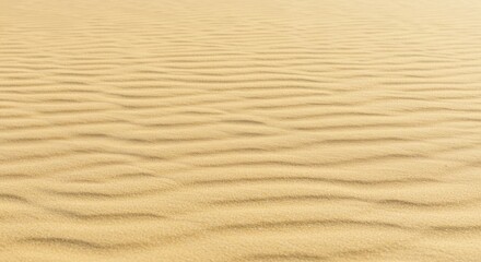 Desert sand dunes with rippled patterns