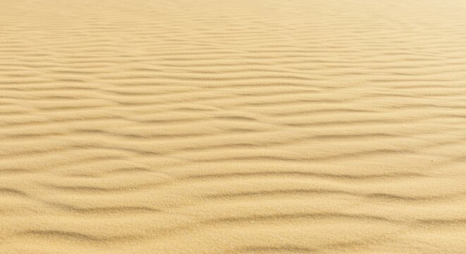 Desert sand dunes with rippled patterns