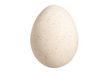 Speckled turkey egg with transparent background