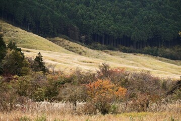 A view of Hakone in late autumn. Hakone, Kanagawa Prefecture, Japan. Many tourists visit Hakone every year to see the autumn leaves.