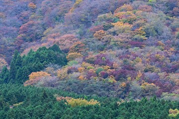 A view of Hakone in late autumn. Hakone, Kanagawa Prefecture, Japan. Many tourists visit Hakone every year to see the autumn leaves.