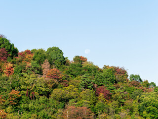 朝の月と秋の山