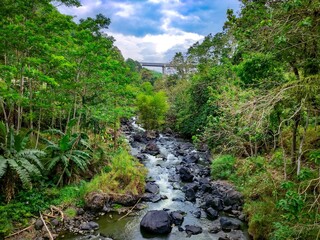Serene Jungle River Gorge With Rocks And Dense Greenery In A Tropical Forest