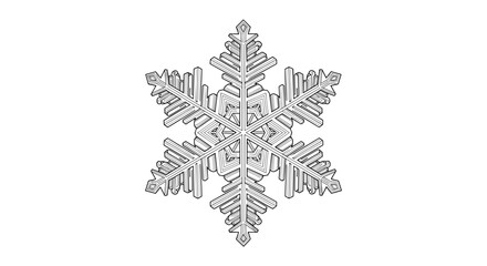 Detailed monochrome illustration of a symmetrical six pointed snowflake