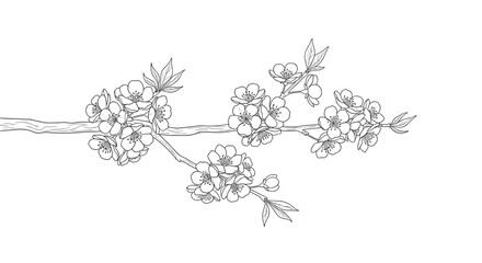 Illustration of a blossoming tree branch with flowers and leaves