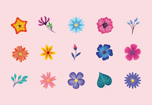 Colorful Floral Botanical Nature Spring Illustrations Set