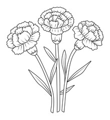 Three black line carnations with leaves, vector monochrome flower bouquet, buds with foliage, coloring page