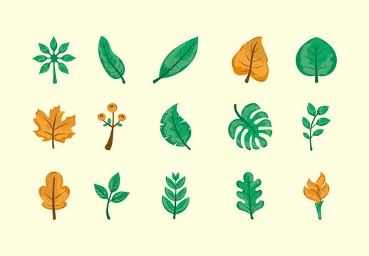 Green And Brown Botanical Nature Leaves Autumn Plant Illustrations Set
