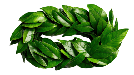 Laurel Wreath: This image presents a captivating laurel wreath, its vibrant green leaves forming a symbol of victory and achievement, a classic emblem of triumph.