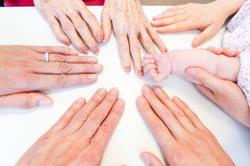 世代をつなぐ家族の手の温かい触れ合い