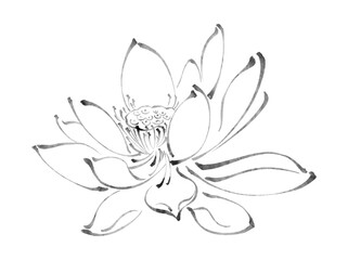 Elegant hand drawn lotus silhouette in ink painting