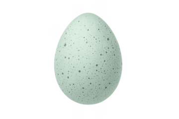 Speckled green bird egg isolated transparent background