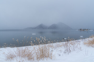 Fototapete bei efototapeten.de bestellen   