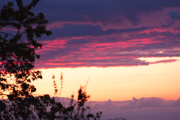 Fototapeta premium Sunset with red-lit clouds in focus and blurred shrub in foreground