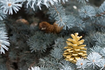 Christmas Background - Pinecone Beauty Series