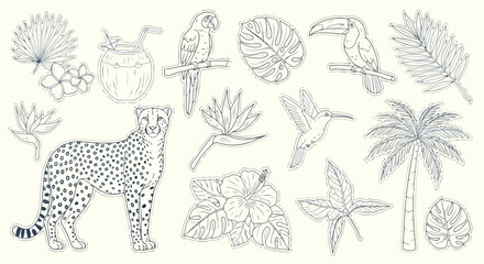 Assorted tropical wildlife and plants illustration set