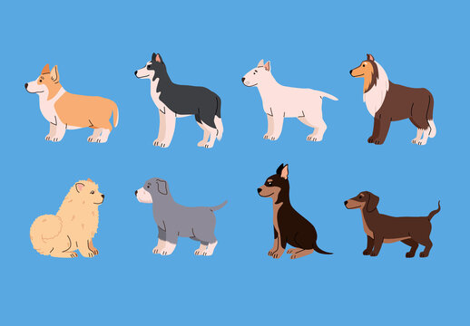 Colorful Dogs Breeds Cartoon Pet Animals Illustrations Set