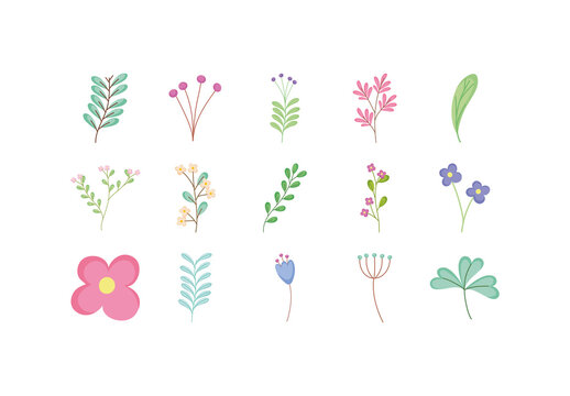 Colorful Cute Botanical Flower Leaf Plant Illustrations Set