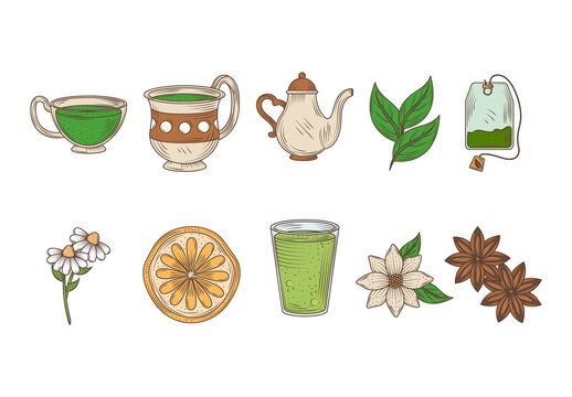 Colorful Tea Herbal Cup Leaves Natural Drink Illustrations Set