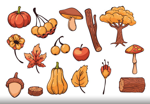 Colorful Autumn Nature Leaves Illustrations Set