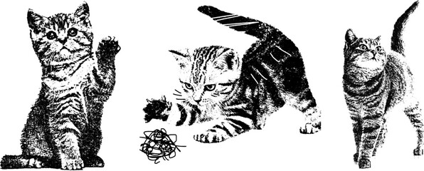 Retro xerography halftone engraving set — three playful kittens with grainy vintage texture. Black and white distressed animal