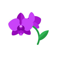 Illustration of a purple orchid flower with a green stem and leaf.