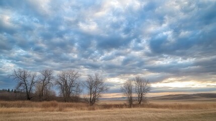 a serene prairie landscape featuring bare trees against a dramatic, cloudy sky, capturing the tranquil beauty of the open plains at dusk