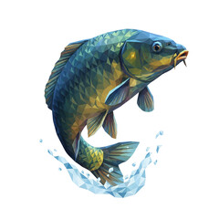 Low poly carp fish jumping from water
