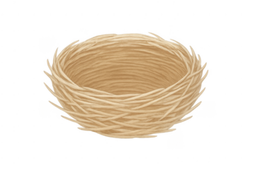 Empty bird's nest symbolising home beginnings