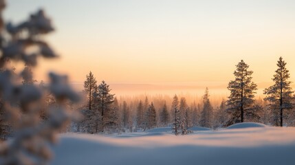 Peaceful winter forest landscape covered in snow during a cold sunrise, creating a serene natural background with empty space