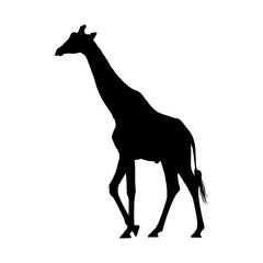 Giraffe Silhouette - Majestic African Wildlife in Minimalist Design.