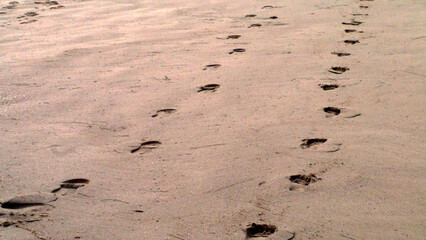 CA Vta Running Partners' Footprints 2025