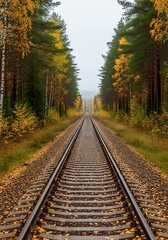 Fototapeta premium Autumnal Railroad - A Journey Through Golden Foliage and Tranquil Scenery.