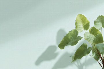 graphic tropical leaves displayed on clean white or pastel background exuding ultrabright aesthetic
