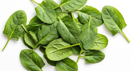Fresh Spinach Leaves on White Background - Healthy Eating.
