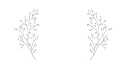 Elegant Silver Twigs with Buds on White Background.