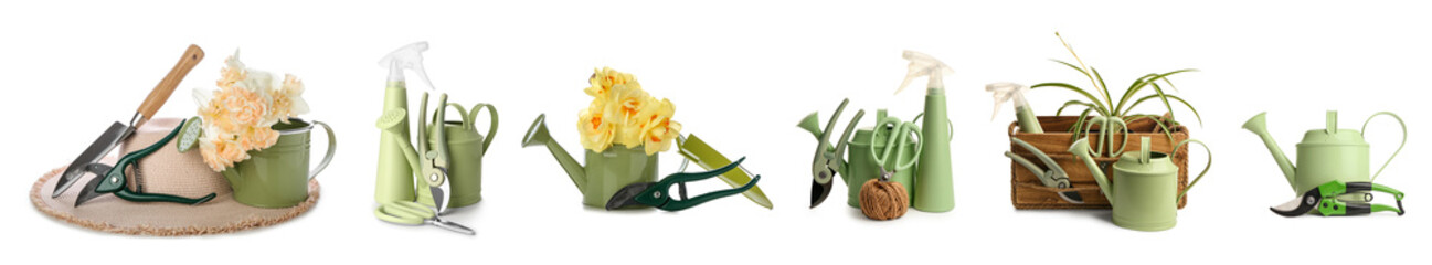 Set of gardening tools and plants on white background