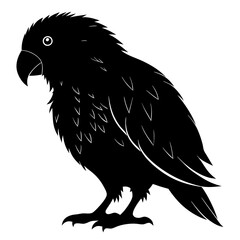 Black silhouette of a small parrot with detailed feathers, standing on its feet