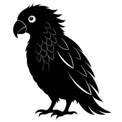 A black silhouette of a parrot with detailed feathers and a large beak, standing on its feet, isolated on a