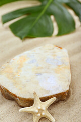 Decorative stone podium, starfish and tropical leaf in sand