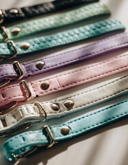 A vibrant assortment of colorful leather pet collars with metal buckles, arranged in a neat row.