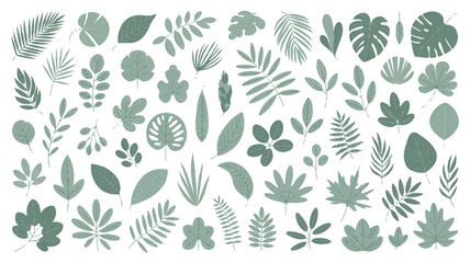 Fototapeta premium Botanical illustration featuring a diverse collection of green leaves, showcasing various shapes and textures in a natural arrangement