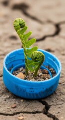 A young fern sprout emerging from soil in a small blue container on cracked ground, symbolizing growth and new beginnings in nature